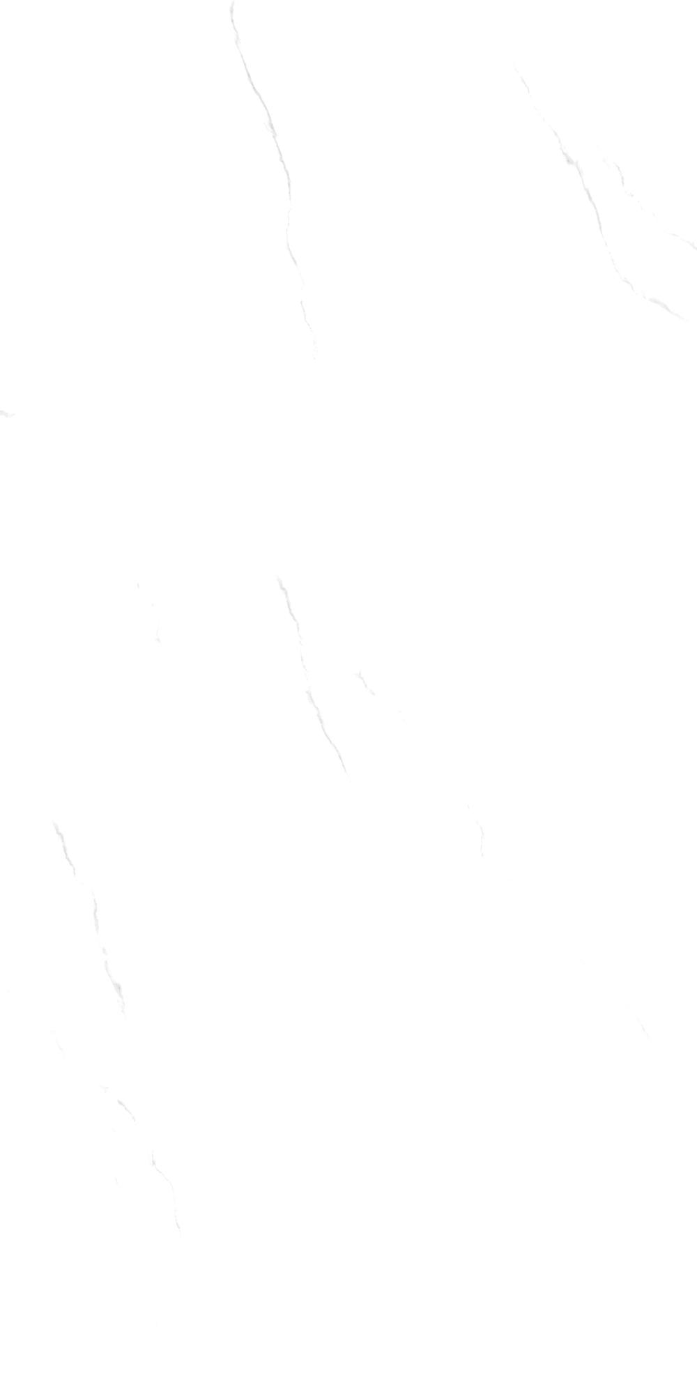 奧雷莉亞白